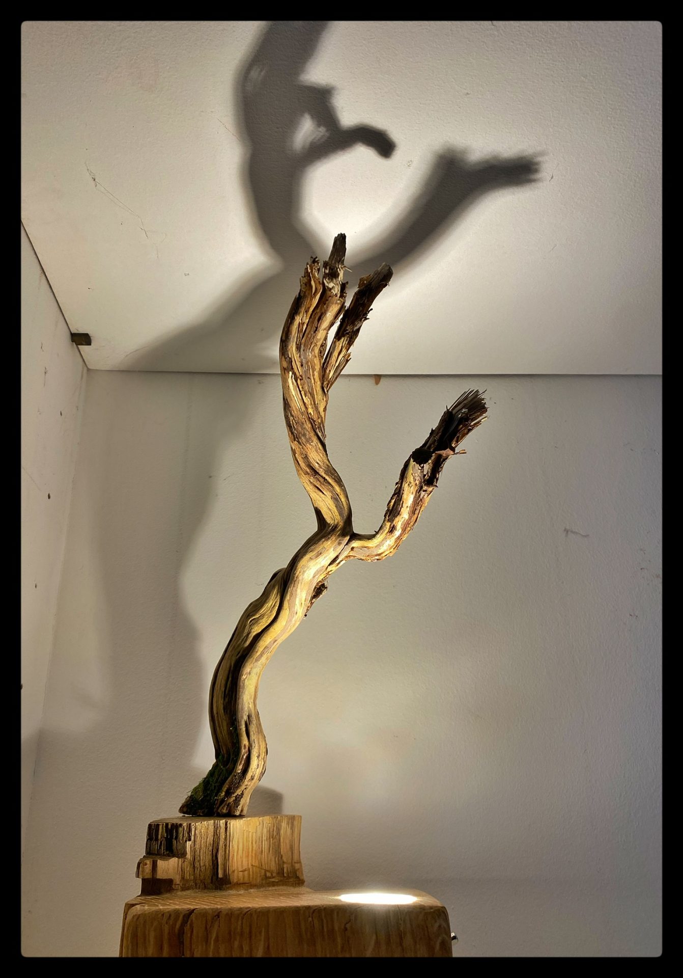 Lampes à poser