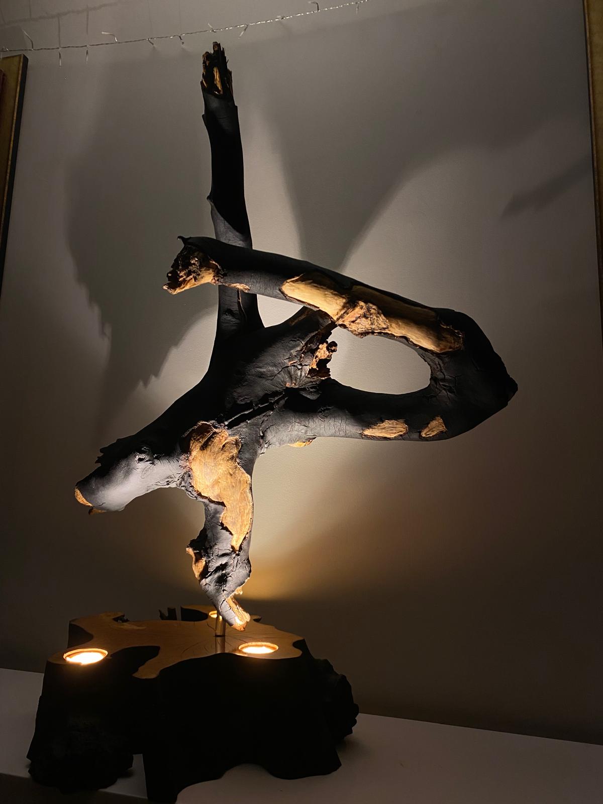 Lampes à poser